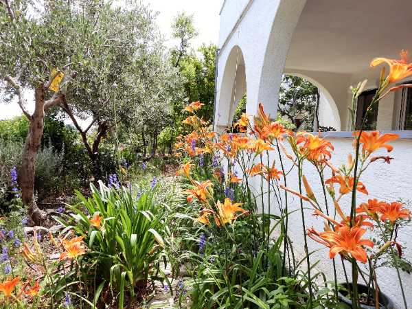 Apartments Milenka Mali Lošinj